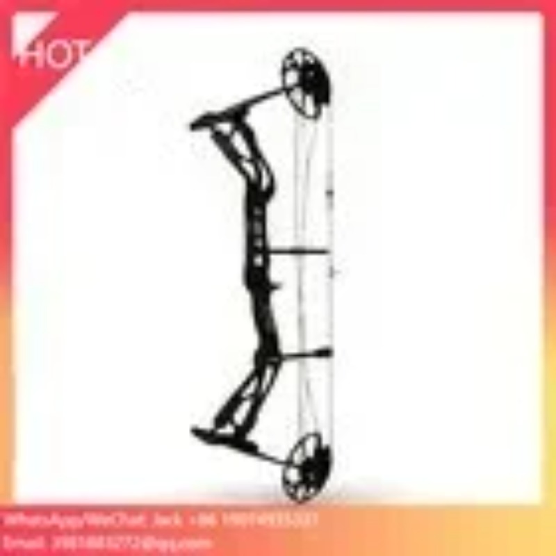 Accmos Archery Dragon X8 Hunti - đánh giá và giá Outdoor Sport Drawing