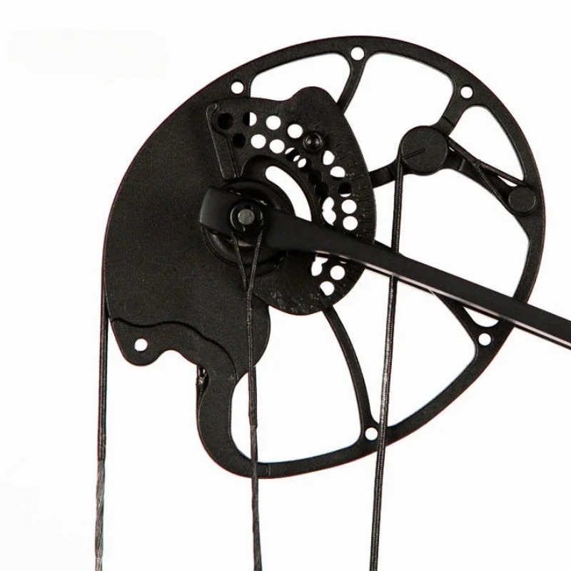 Accmos Archery Dragon X8 Hunti - đánh giá và giá Outdoor Sport Drawing